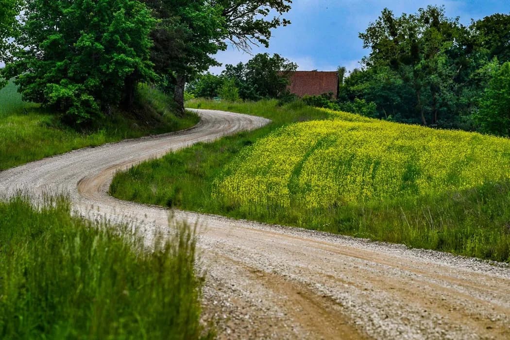 rajdpolski