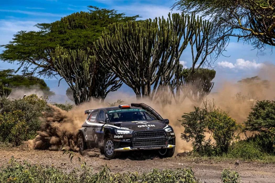 kajto-safari
